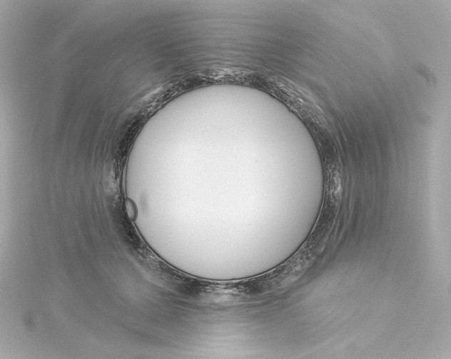 X0000115250607200911271906