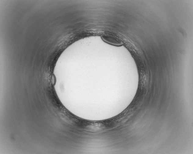 X0000115250609200911271906