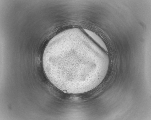 X0000115250610200911271906