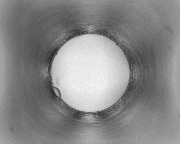 X0000115250611200911271906