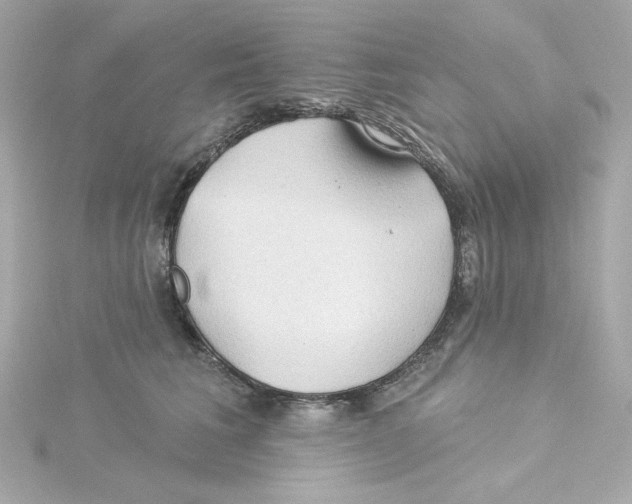 X0000115250613200911271906