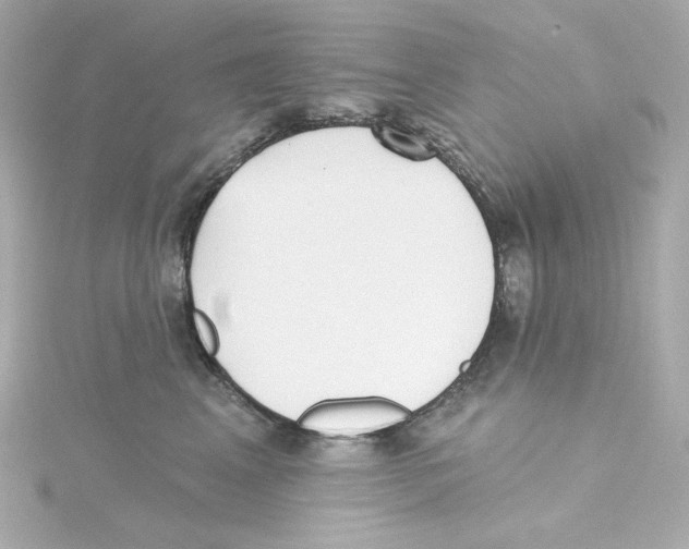 X0000115250617200911271906