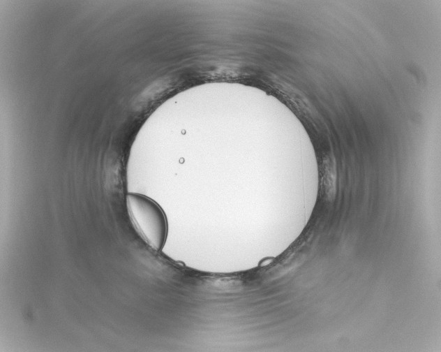 X0000115250619200911271906