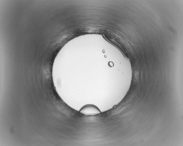 X0000115250620200911271906