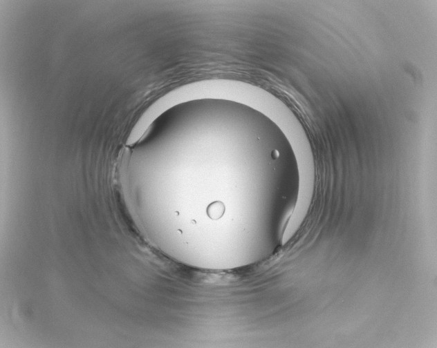 X0000115250621200911271906