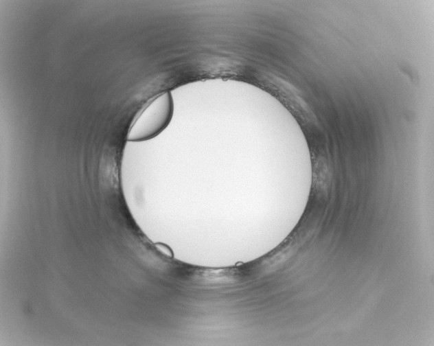 X0000115250622200911271906