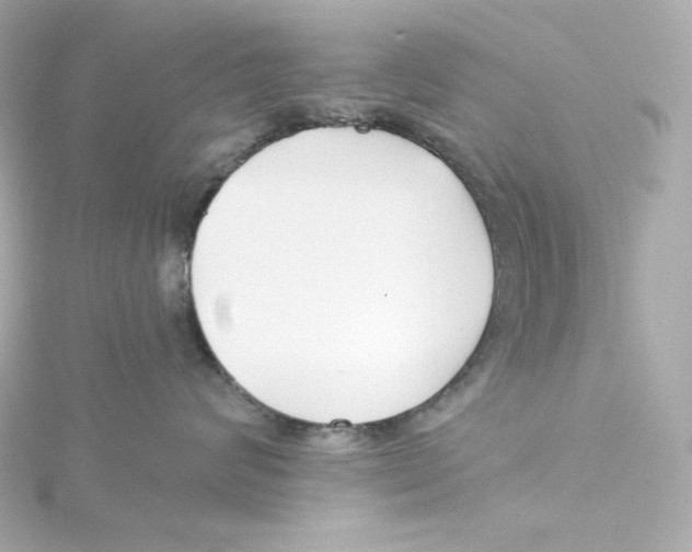 X0000115250624200911271906