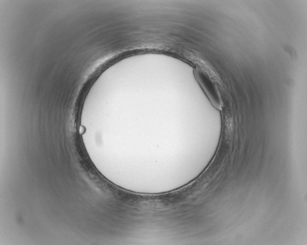 X0000115250628200911271905