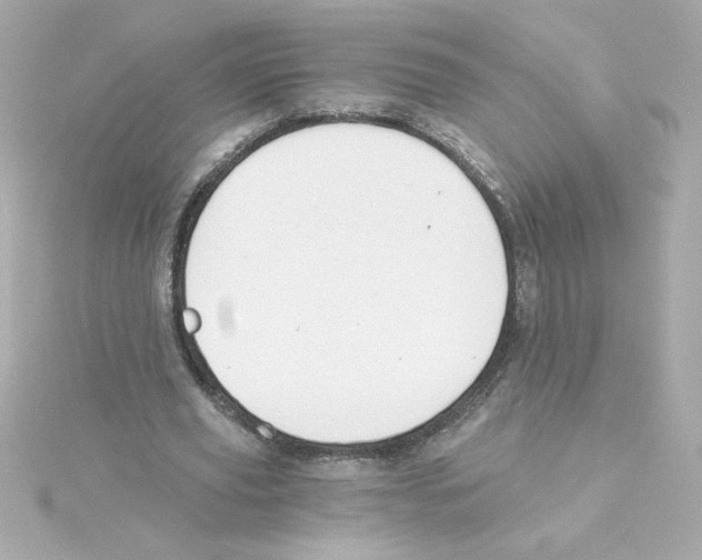 X0000115250629200911271905