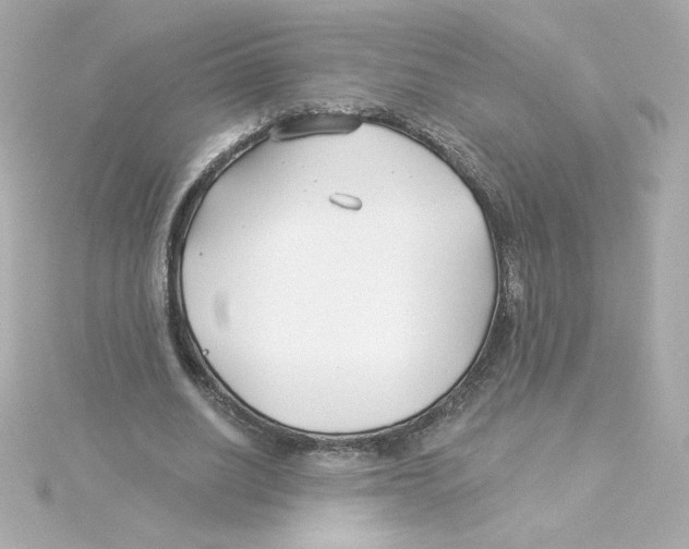 X0000115250630200911271905