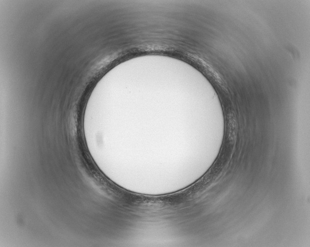 X0000115250631200911271905