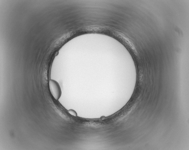 X0000115250633200911271905