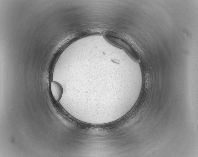 X0000115250634200911271905