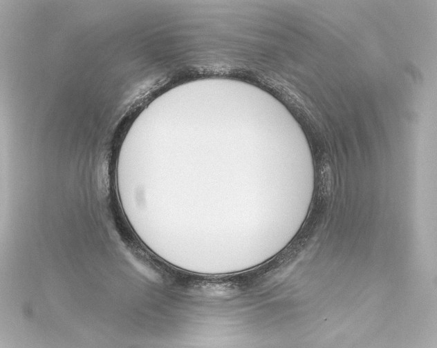 X0000115250638200911271905