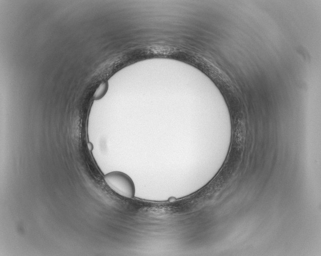 X0000115250639200911271905