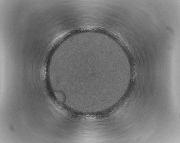 X0000115250640200911271905