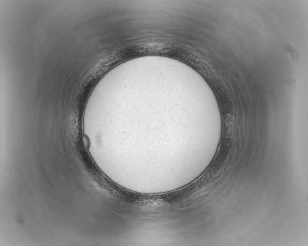 X0000115250642200911271905