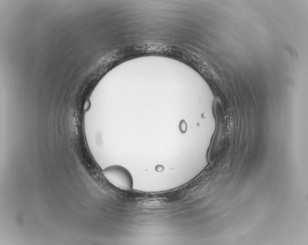 X0000115250643200911271905