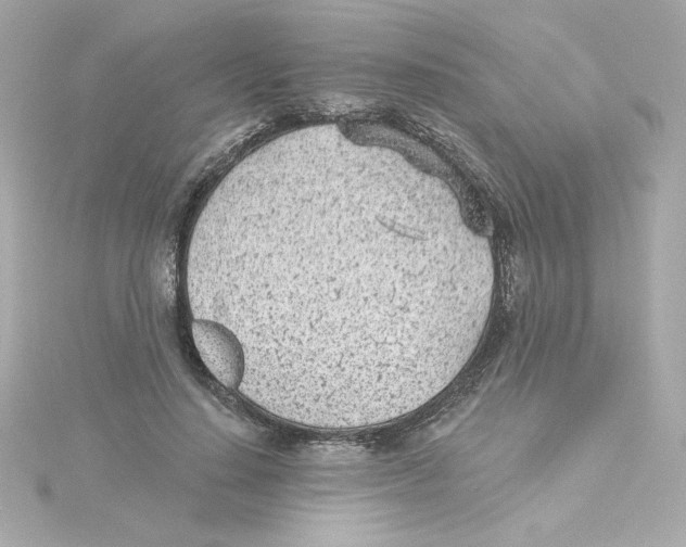 X0000115250644200911271905