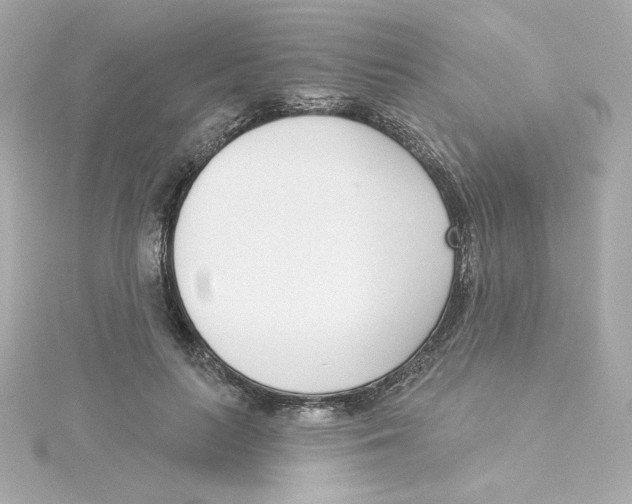 X0000115250647200911271906