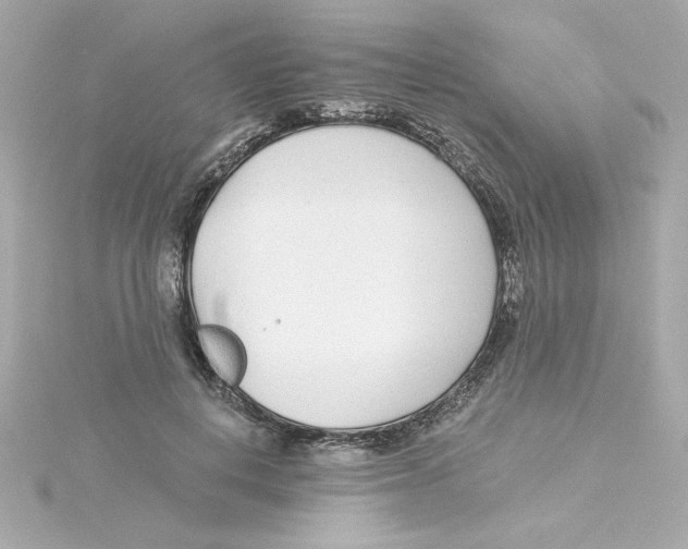 X0000115250648200911271906