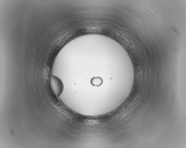 X0000115250649200911271906