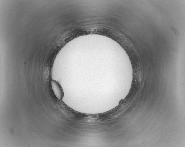 X0000115250660200911271906