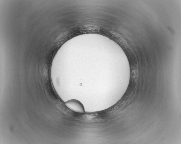 X0000115250662200911271906