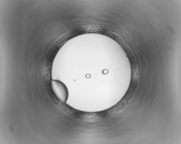 X0000115250666200911271906