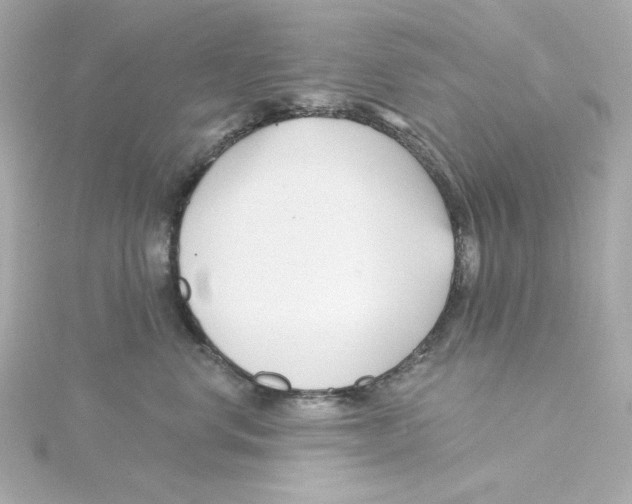 X0000115250668200911271906