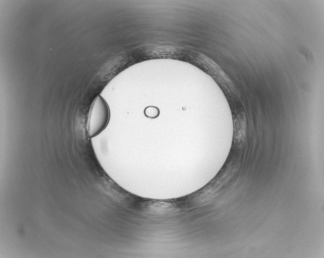 X0000115250669200911271906