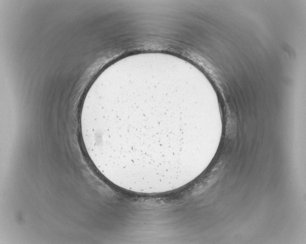 X0000115250673200911271905