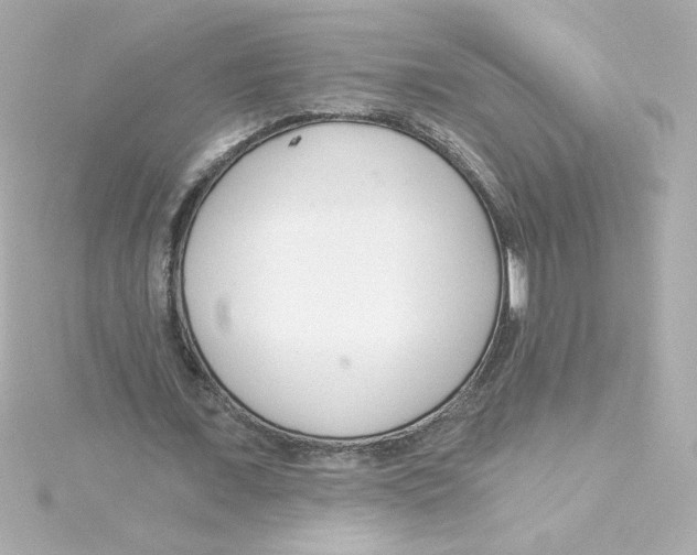 X0000115250675200911271905