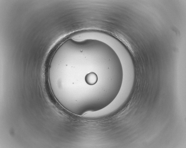 X0000115250676200911271905