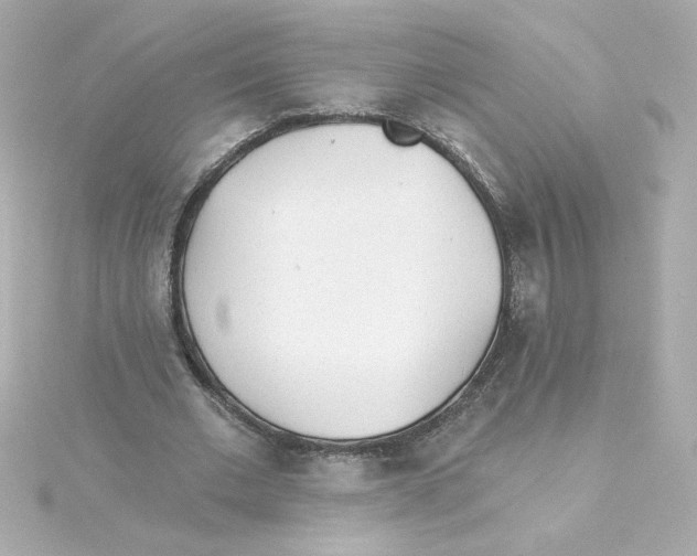 X0000115250677200911271905