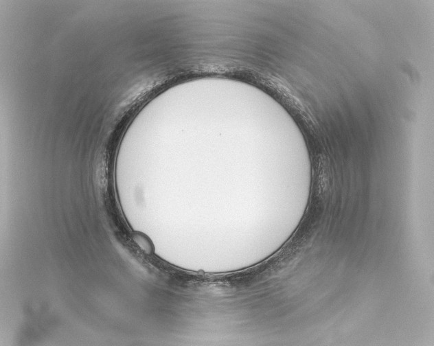 X0000115250683200911271905