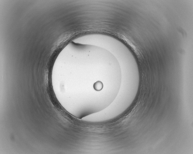 X0000115250685200911271905