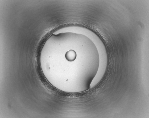 X0000115250688200911271905