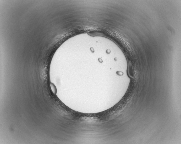 X0000115250689200911271905