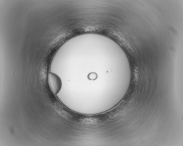 X0000115250691200911271905