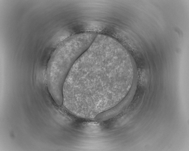 X0000115250692200911271905