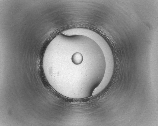 X0000115250693200911271905