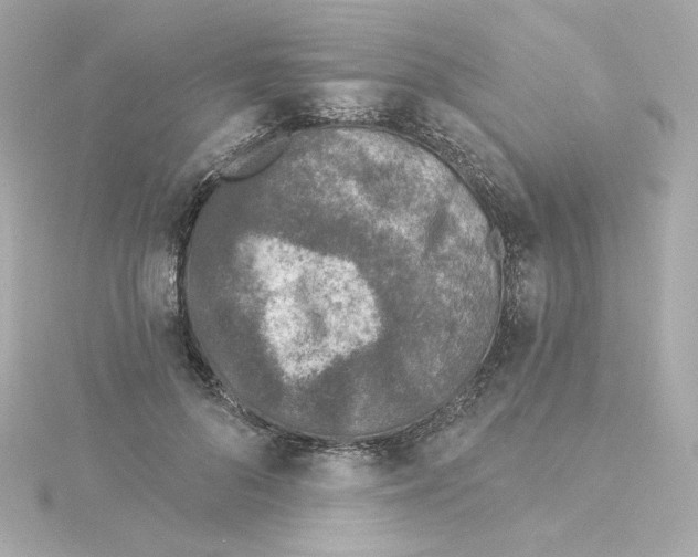 X0000115250696200911271905