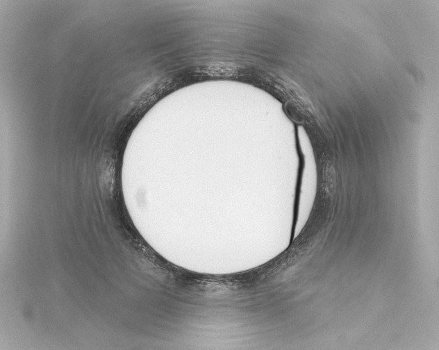 X0000115250697200911271905