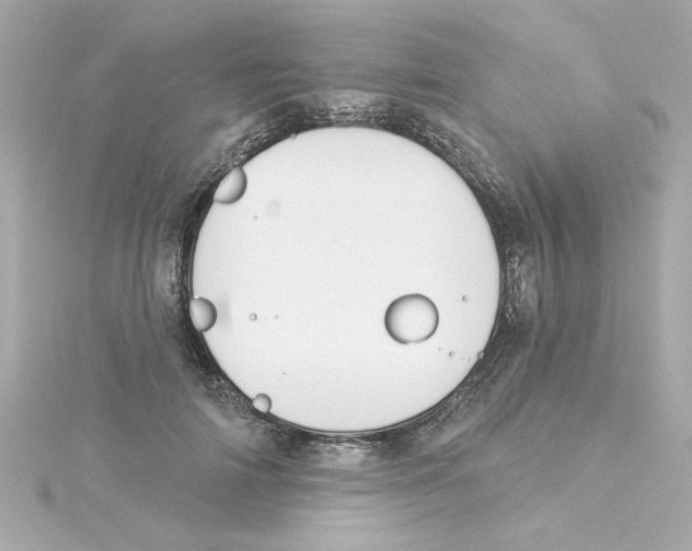 X0000115250698200911271905