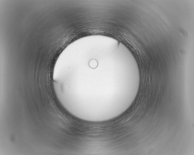 X0000115250700200911271905