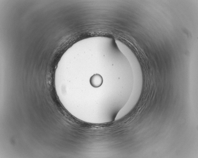 X0000115250701200911271905