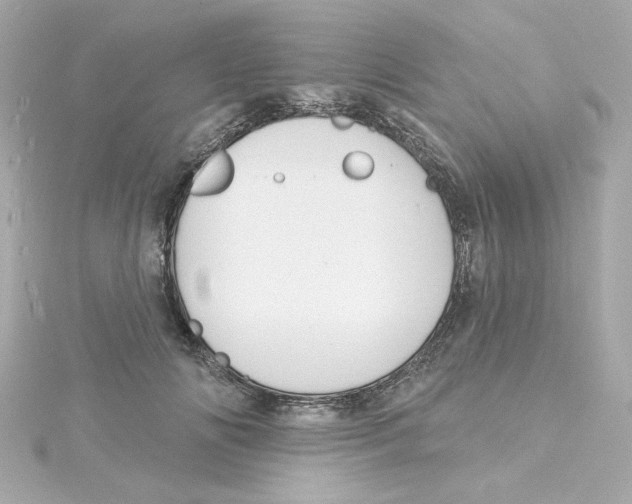 X0000115250702200911271905