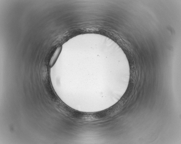 X0000115250704200911271905