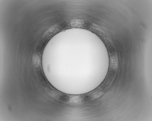 X0000115250705200911271905